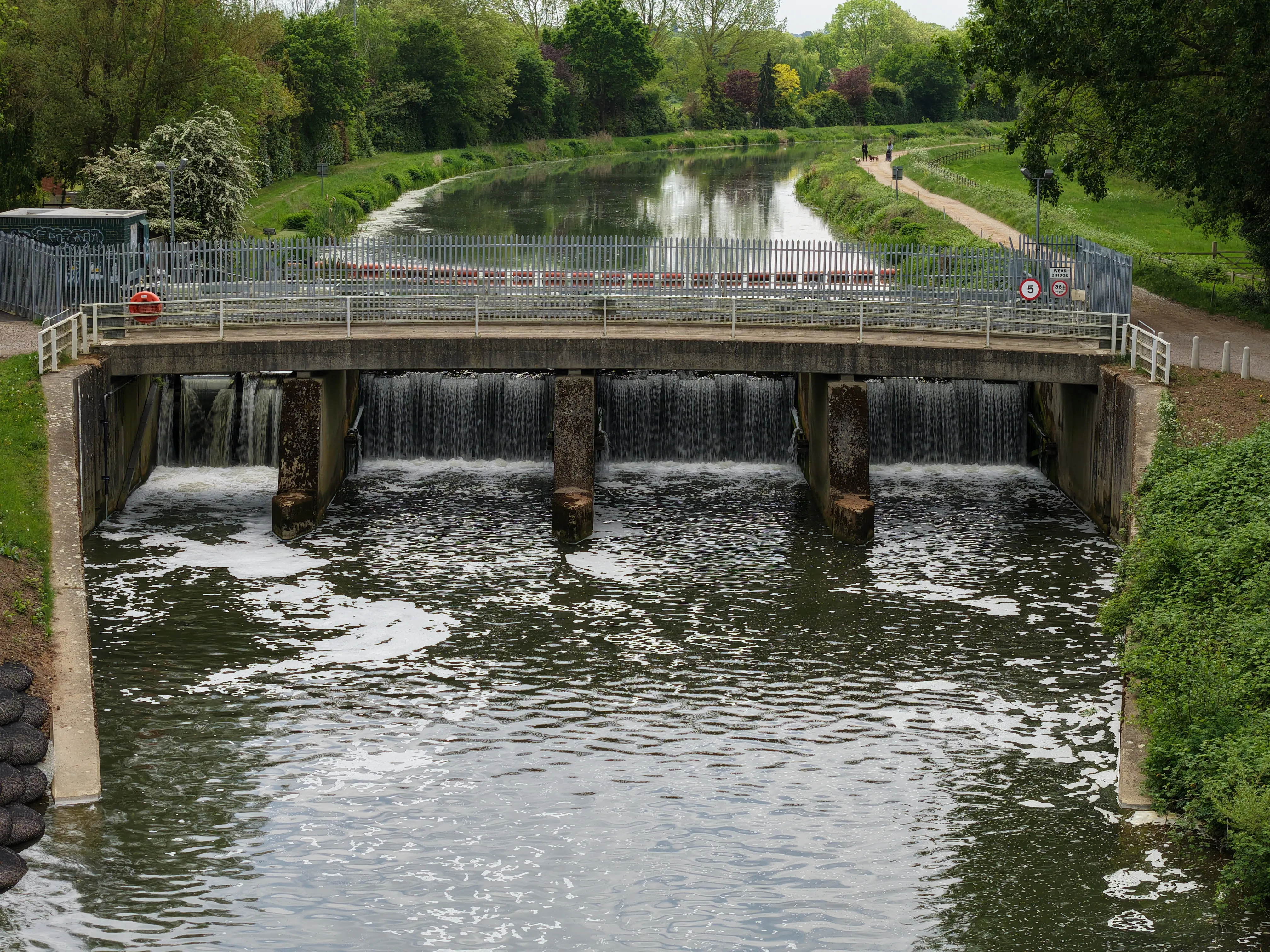 Portfolio Image 5